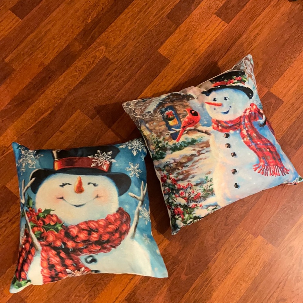 Set of 2 holiday pillows